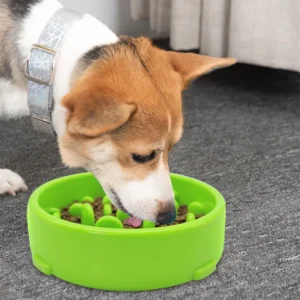 slow feed water bowl for dogs